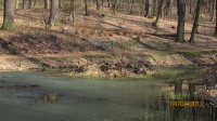 IMG_1225.jpg, 26kB